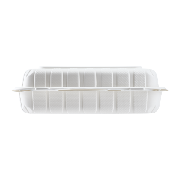 Aybak-96 Hinged PP Take-Out (9 x 6 x 2.5in, Shallow), 150 Count
