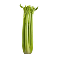 Celery Stocks, 24 Count