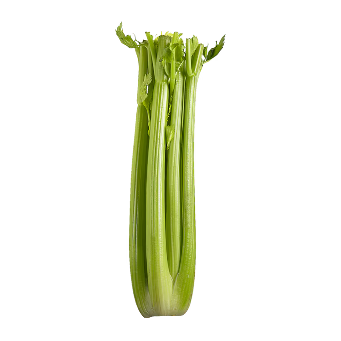 Celery Stocks, 24 Count