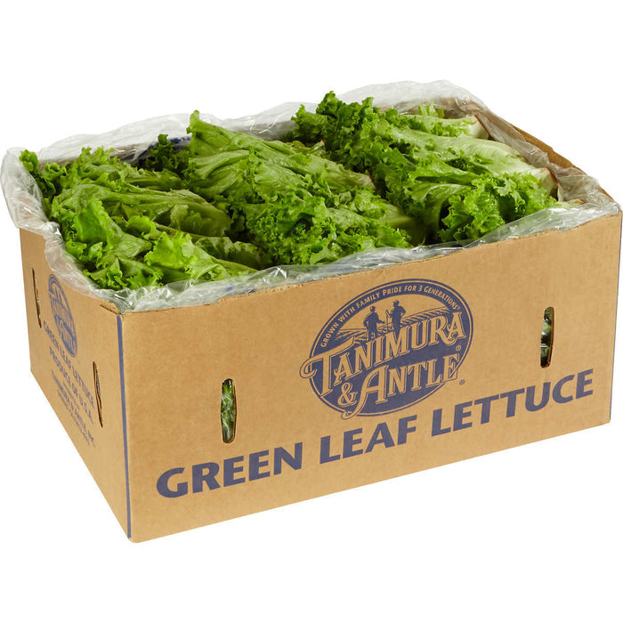 Green Leaf Lettuce Whole Leaves [CASE], 24 Count