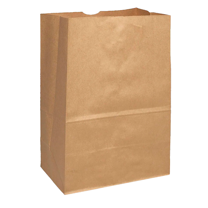 Grocery Paper Bags DD65 (Large, 12 x 7 x 17in), 400 Bags