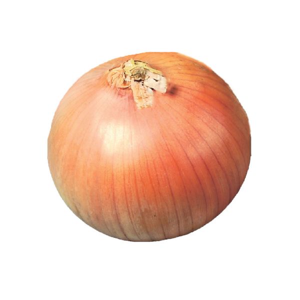 Jumbo Spanish Onions, 50lb/22.7kg