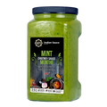 KFI Mint Chutney Fresh & Citrusy, 2.5L