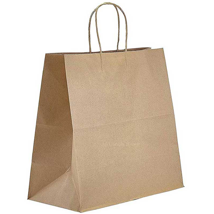 Kraft Paper Bag Twisted Handle (14 x 10 x 16in, Regal) - 200 Count