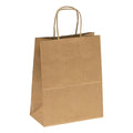 Kraft Paper Bag Twisted Handle (8 x 4.5 x 10in, Petite) - 250 Count