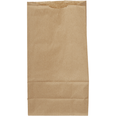 Kraft Paper Bags #6 - 500 Bundle