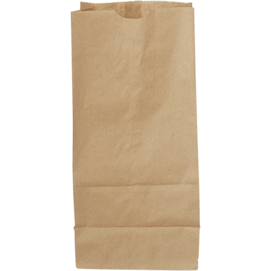 Kraft Paper Bags #8 - 500 Bundle