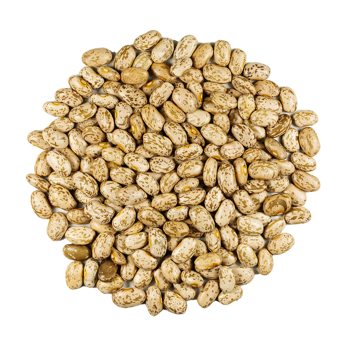 Pinto Beans