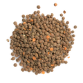 Red Lentils Whole (Masoor Daal)