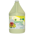 Safeblend Hand & Body Soap (Foam, Mango Papaya Scent, with Aloe Vera), 4L