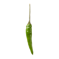 Thai Chili Green Peppers