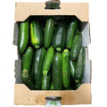 Zucchini [CASE] 11.34kg