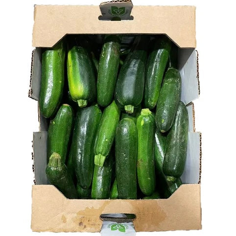 Zucchini [CASE] 11.34kg